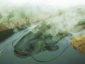 Imagen de Gigantes en la niebla - 1
