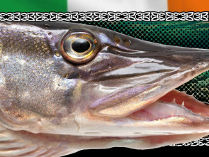 Imagen de Wild Pike Ireland - capítulo final - 1