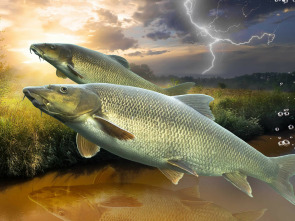 Imagen de Barbos después de la tormenta - 1