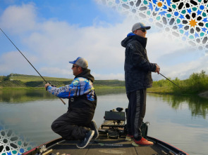 Imagen de Andalusian bass - 1