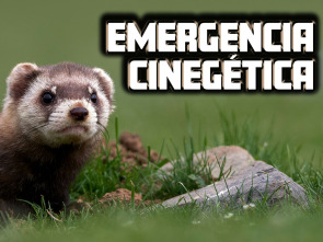 Imagen de Emergencia cinegetica - 1
