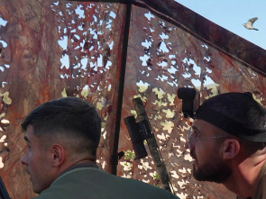 Imagen de Palomas sedentarias en Antequera - 1