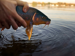 Imagen de La pesca y la vida, un legado de pasión - 1