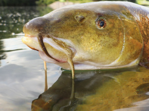 Imagen de Colosos de Ruidera - 1
