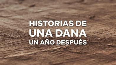 Imagen de Historias de una DANA: un año después - 3