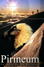 Imagen de Pirineum  - 2