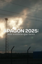 Imagen de Apagón 2025: Más sombras que luces - 2