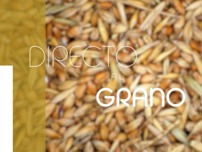 Imagen de Directo al grano - 1