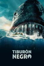 Imagen de Tiburón negro - 8