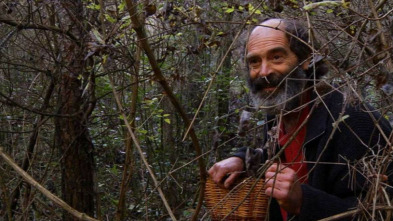 Imagen de El señor de los bosques (T1) - 10
