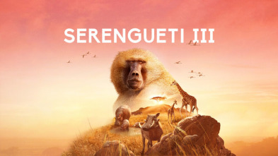 Imagen de Serengueti: Parentesco - 10