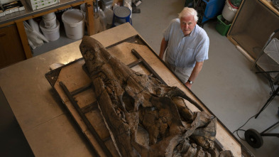 Imagen de Attenborough y el monstruo jurásico - 10