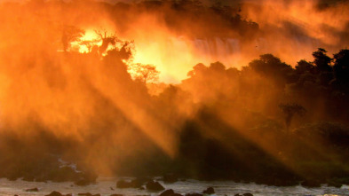 Imagen de Un año en la selva: Ep.2 - 10