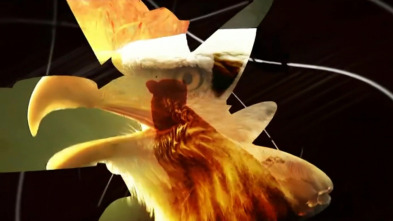 Imagen de Grandes documentales - 10