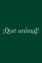 Imagen de ¡Qué animal! - 8