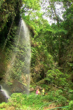 Imagen de El escarabajo verde  - 8