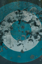 Imagen de Traslados - 8