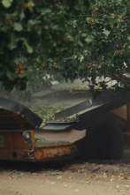 Imagen de La guerra del pistacho - 8