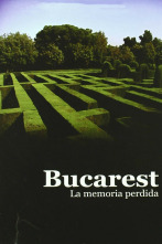Imagen de Bucarest, la memoria perdida - 8