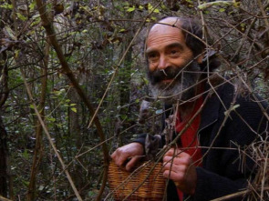 Imagen de El señor de los bosques (T1) - 2