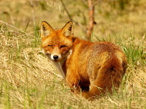 Imagen de Los segundones - 2