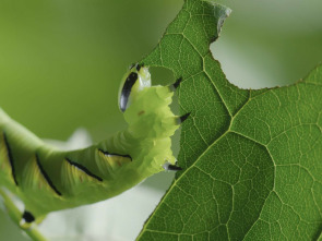 Imagen de Momentos magicos. El hechizo de la naturaleza - 2