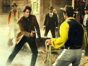 Imagen de Adiós gringo - 2