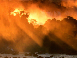 Imagen de Un año en la selva: Ep.2 - 2