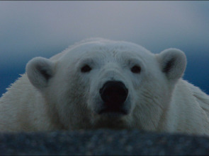 Imagen de Animales Imbatibles - 2