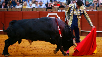 Imagen de Tendido cero - 8