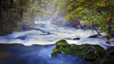 Imagen de Austria salvaje. La fuerza del agua - 11