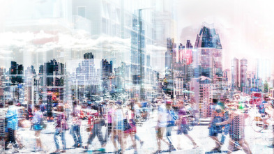 Imagen de Documentos TV (T24/25) - 11