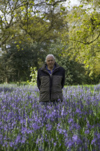 Imagen de Curiosidades de la naturaleza con Attenborough  - 9