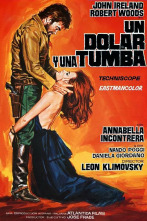 Imagen de Un dólar y una tumba - 9