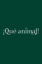 Imagen de ¡Qué animal! - 4