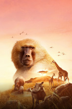 Imagen de Serengueti: Parentesco - 9