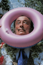 Imagen de Divino Dalí - 9