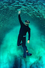 Imagen de Ningaloo. La maravilla...: Conexiones - 9