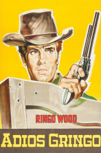 Imagen de Adiós gringo - 9
