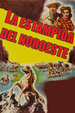 Imagen de La estampida del Noroeste - 9