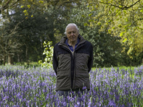 Imagen de Curiosidades de la naturaleza con Attenborough  - 3