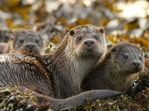 Imagen de Nacidos de la tormenta  - 3