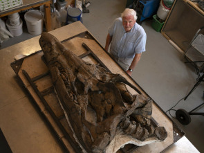 Imagen de Attenborough y el monstruo jurásico - 3