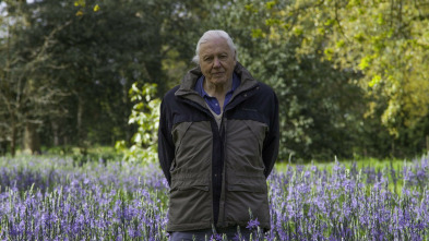 Imagen de Curiosidades de la naturaleza con Attenborough  - 5
