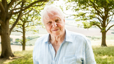 Attenborough cumple 90 años