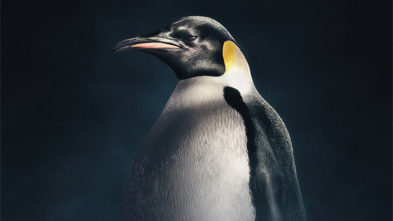 Imagen de Dinastías - 3