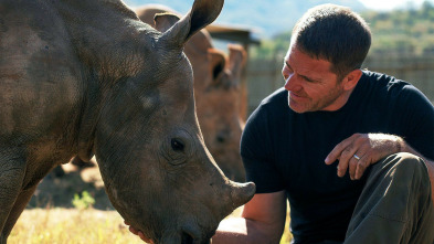 Imagen de Fauna letal: Sudáfrica - 5