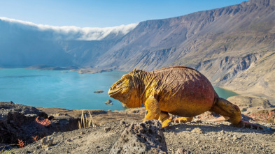 Un planeta perfecte: Els volcans