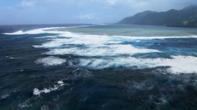 Imagen de Mindful Earth: Cambiar - 3