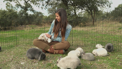 Imagen de ¡Qué animal! (T5) - 3